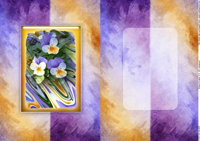 Photo Floral 1, Pansies