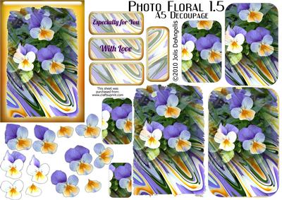 Photo Floral 1.5, Pansies