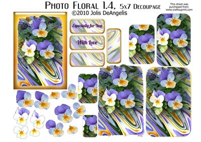Photo Floral 1.4, Pansies