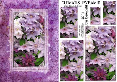 Clematis A5 Pyramid Card