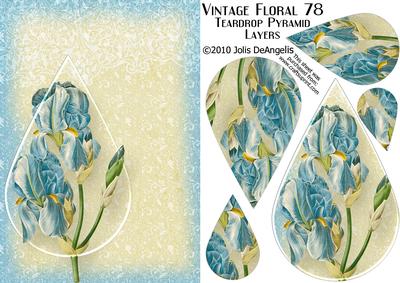 Vintage Floral 78, Blue Iris Teardrop Pyramid Card Front