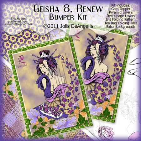 Options Bumper Kit Geisha 8, Renew