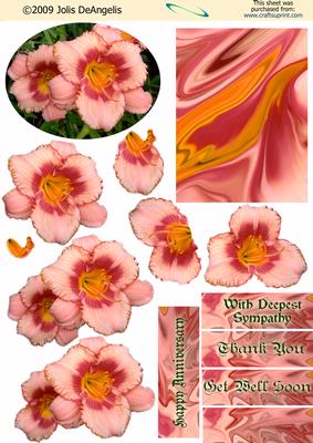 Lillies I