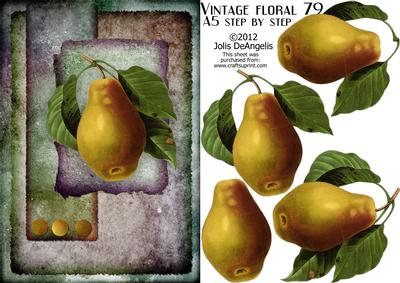 Vintage Floral 79, Pear A5 Step by Step and Pyramid Cards