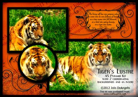 Tiger's Lustre A5 Pyramid Card