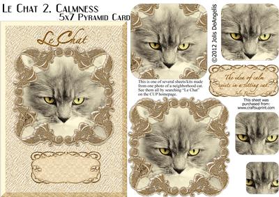 Lechat 2, Calmness A5 Pyramid Card