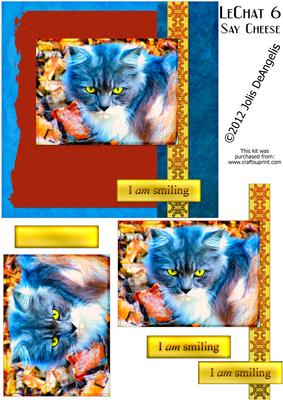 Lechat 6, Bright Eyed 6 Inch Sq Pyramid Card