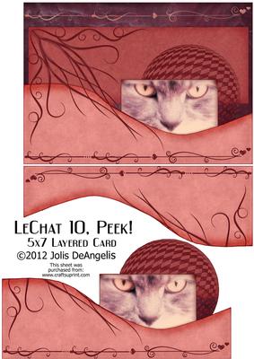 Lechat 10, Peek! 5x7 Layered Card
