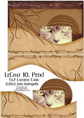 Lechat 10b, Peek! 5x7 Layered Card
