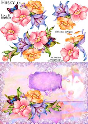 Husky 5, Flowery Lena