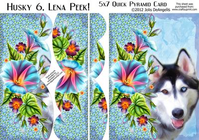Husky 6, Lena Peek! 5x7 Pyramid Card