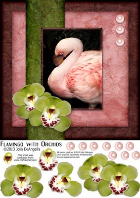 Flamingo with Orchids 8x8 Step by Step Card