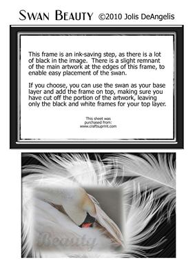 Swan Beauty