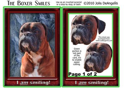 The Boxer Smiles