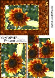 Sunflower Pyramid