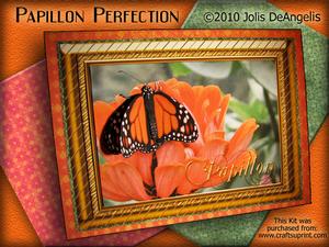 Papillon Perfection