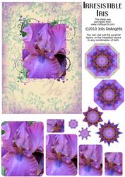 Irresistible Iris