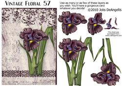 Vintage Floral 57, Iris