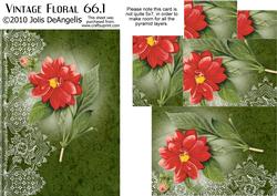 Vintage Floral 66.1