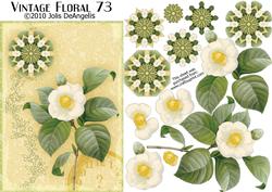 Vintage Floral 73 Camellia