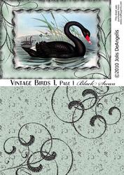 Vintage Birds 1, Black Swan