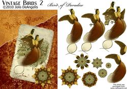 Vintage Birds 2, Bird of Paradise