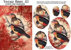 Vintage Birds 4.1, Tropical Birds 2