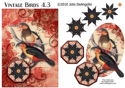 Vintage Birds 4.3, Tropical Birds 2