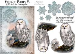 Vintage Birds 5, Snowy Owl