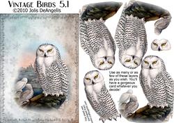 Vintage Birds 5.1, Snowy Owl