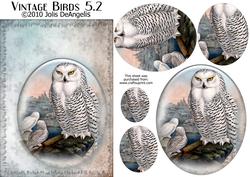 Vintage Birds 5.2, Snowy Owl