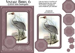 Vintage Birds 6, Australian Brolga