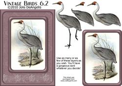 Vintage Birds 6.2, Australian Brolga