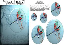 Vintage Birds 7.1, Parakeets