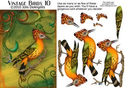 Vintage Birds 10
