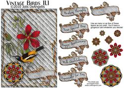 Vintage Birds 11.1, Troupial