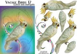 Vintage Birds 12, Cockatoo