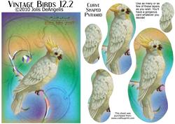 Vintage Birds 12.2, Cockatoo