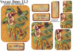 Vintage Birds 13.2, Hummingbirds
