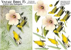 Vintage Birds 15, Blue-winged Warbler