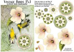 Vintage Birds 15.1, Blue-winged Warbler