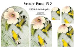 Vintage Birds 15.2, Blue-winged Warbler