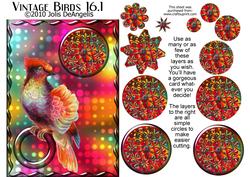 Vintage Birds 16.1, Fashionista