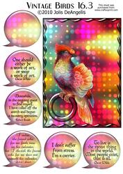 Vintage Birds 16.3, Fashionista