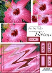 Hibiscus