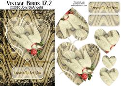 Vintage Birds 17.2, Dove
