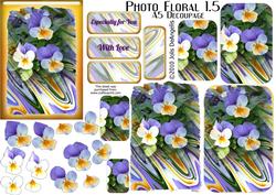 Photo Floral 1.5, Pansies
