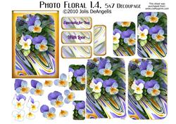Photo Floral 1.4, Pansies