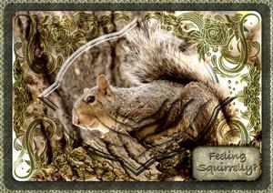 Feeling Squirrelly Shaped Pyramid A5 Card Kit