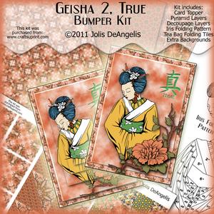 Options Bumper Kit Geisha 2, True